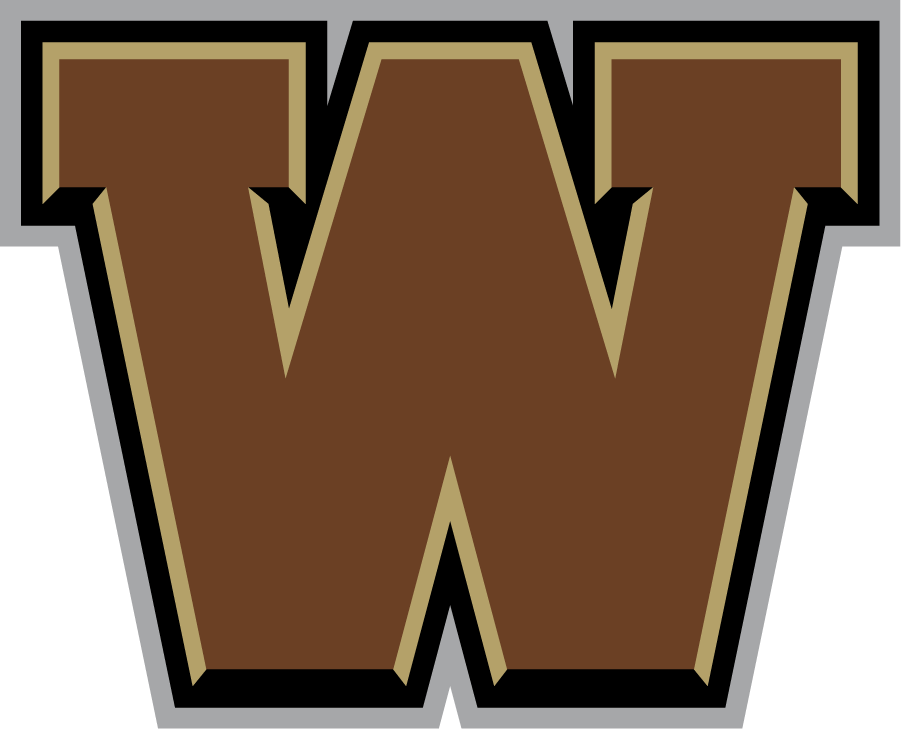 Western Michigan Broncos 2016-2021 Secondary Logo diy iron on heat transfer